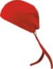 Immagine di Bandana - K18036