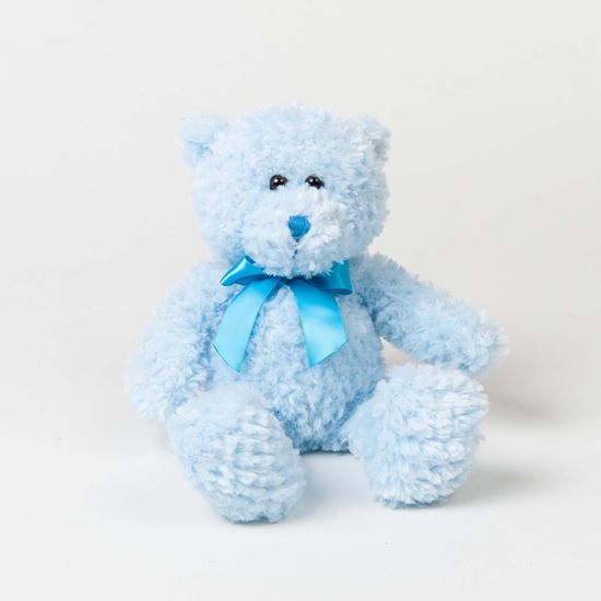 Immagine di Peluche Orsetto