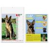 Calendario Cani & Gatti PA108