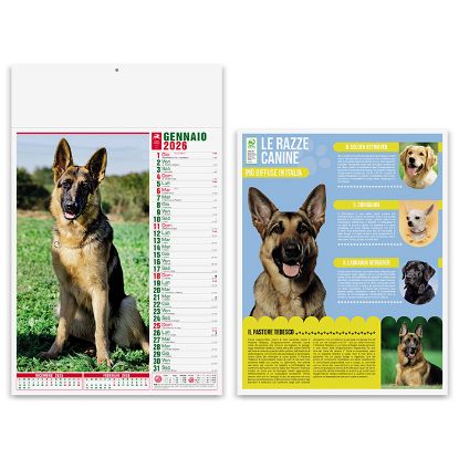 Calendario Cani & Gatti PA108
