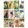 Calendario Cani & Gatti PA108