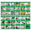 CALENDARIO FARMACIA PA154