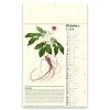 CALENDARIO ERBORISTERIA PA011