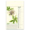 CALENDARIO ERBORISTERIA PA011