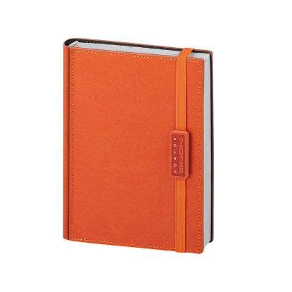 AGENDA GIORNALIERA PB275