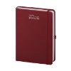 AGENDA GIORNALIERA PB528