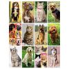 CALENDARIO CANI E GATTI PA108
