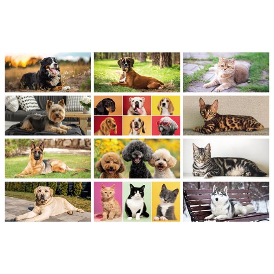 CALENDARIO DA TAVOLO CANI E GATTI PA403