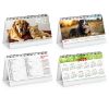 CALENDARIO DA TAVOLO CANI E GATTI PA403