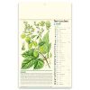 CALENDARIO ERBORISTERIA PA011