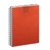AGENDA SPIRAL PRINTFLEX GIORNALIERA CL375