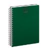AGENDA SPIRAL PRINTFLEX GIORNALIERA CL375